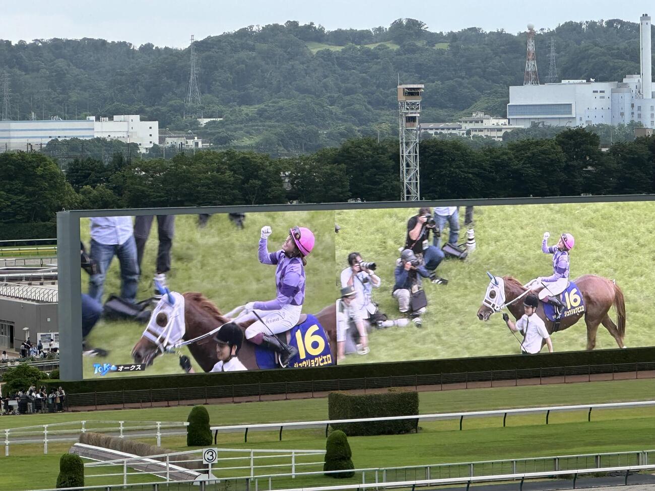 オークスも終わっていよいよダービー
