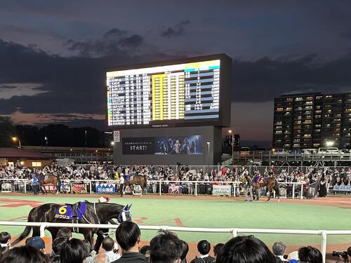 東京ダービーのパドックにて