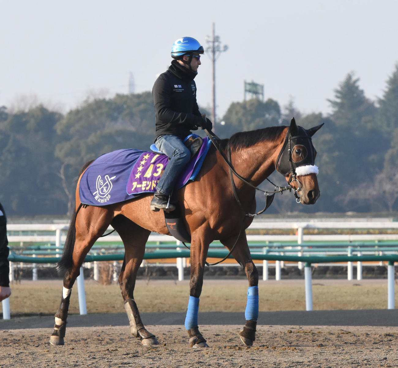 アーモンドアイ（2019年3月13日撮影）