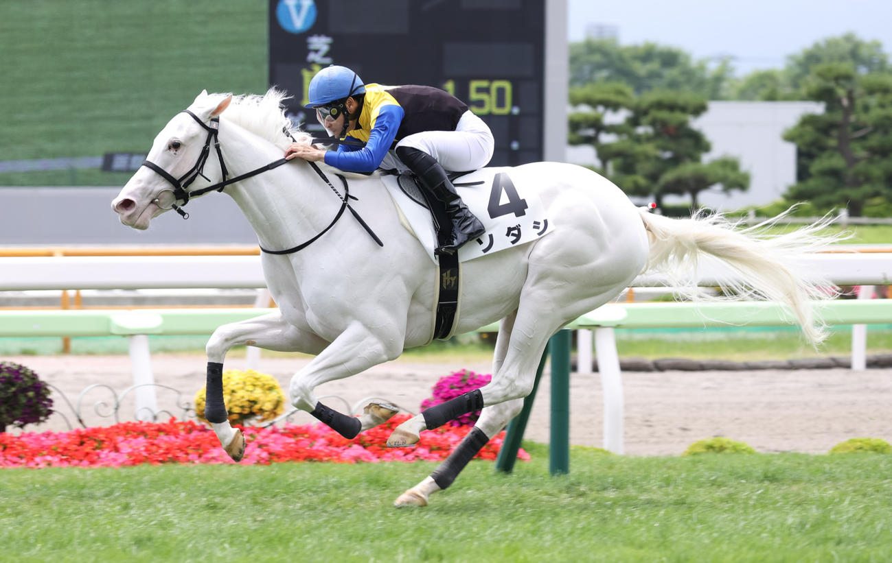 デビュー戦を制した白毛のソダシ（撮影・村野早祐）