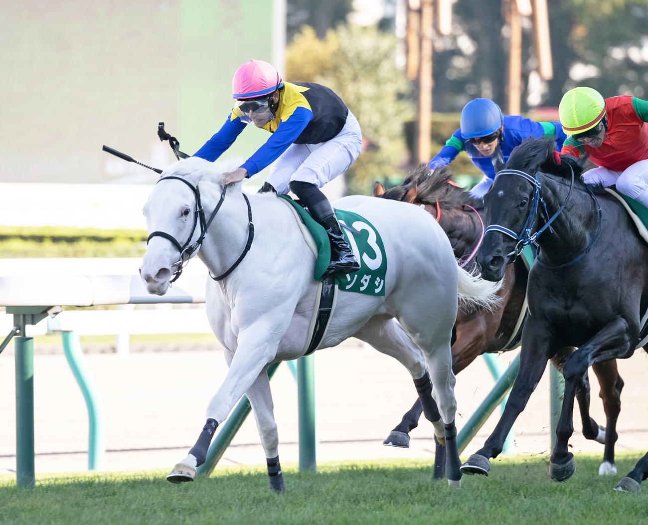 札幌2歳Sをレコードタイムで制し、白毛馬初の芝重賞制覇を成し遂げたソダシ（撮影・村野早祐）
