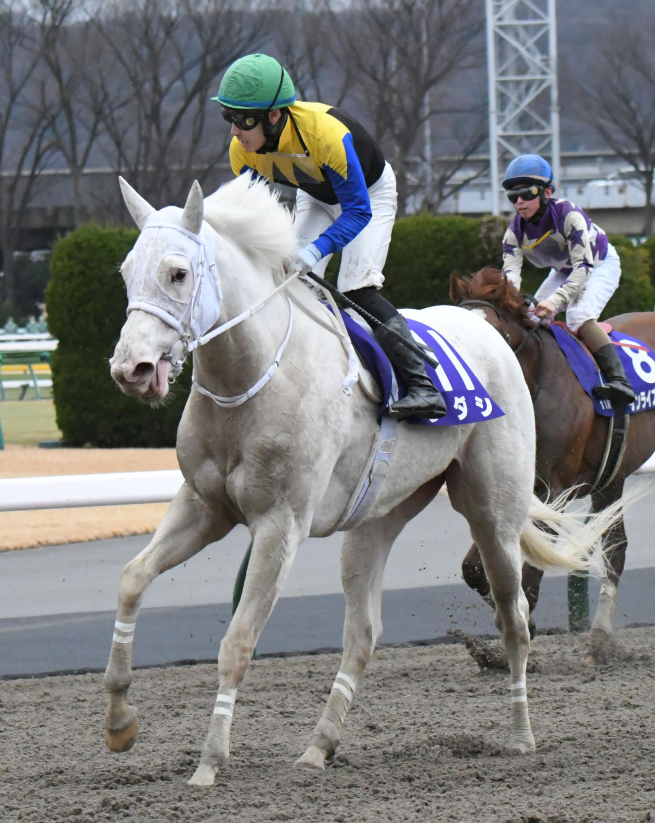 フェブラリーS、ソダシは3着に敗れた（撮影・酒井清司）