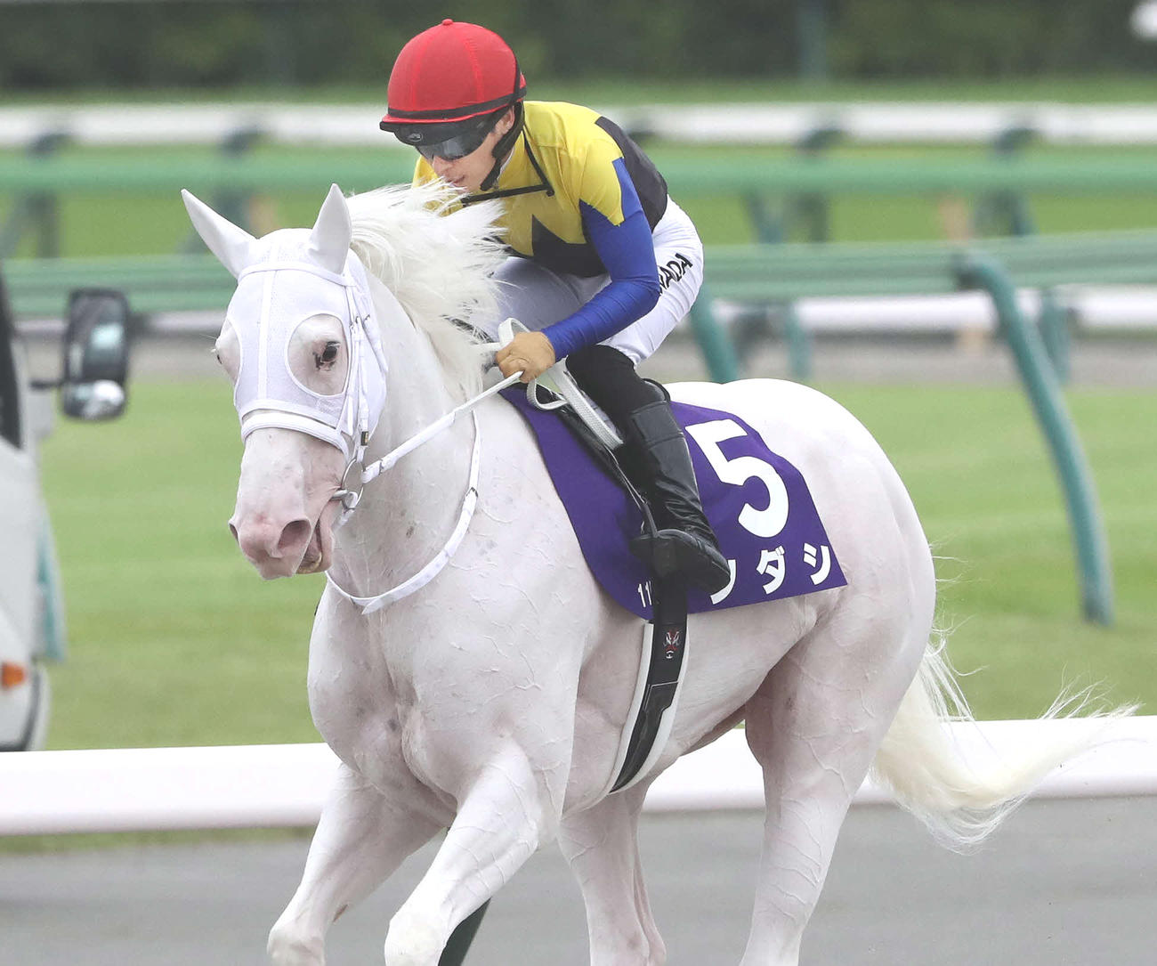 安田記念で2番人気も7着に敗れて引き揚げるソダシと川田騎手（撮影・丹羽敏通）