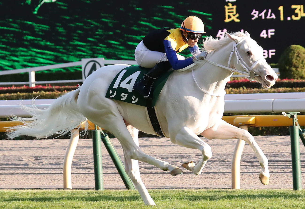 アルテミスSを制したソダシと吉田隼騎手（2020年10月31日撮影）