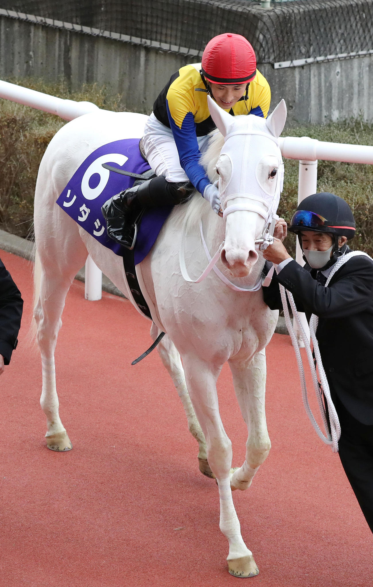 白毛馬初のG1馬に輝いたソダシをねぎらう鞍上の吉田隼騎手（2020年12月13日撮影）