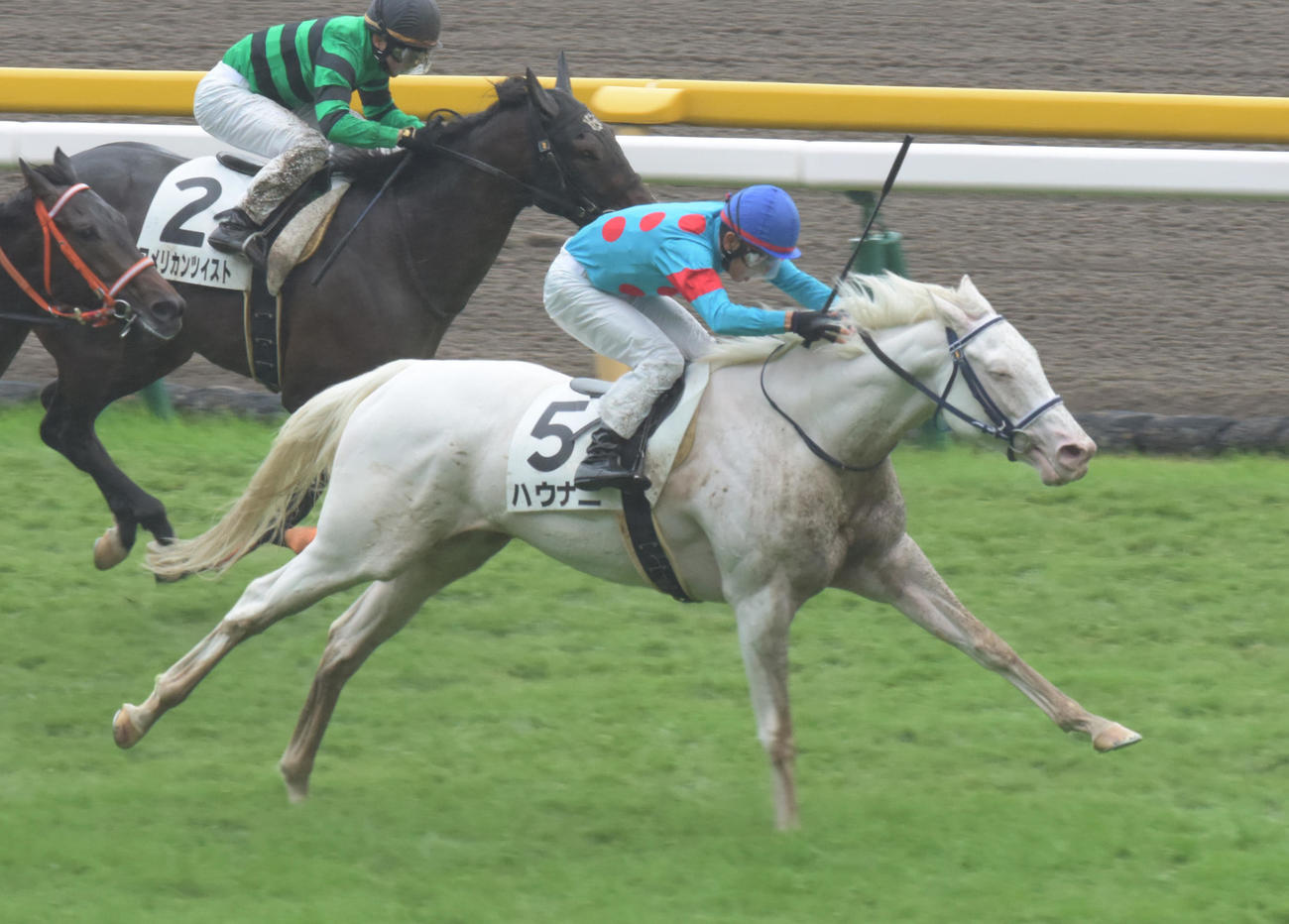 ハウナニ（2017年10月15日撮影）