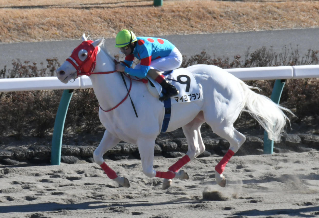 マイヨブラン（2018年12月28日撮影）