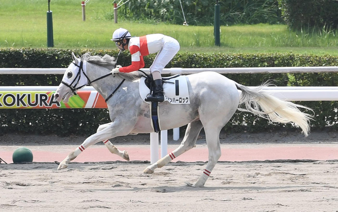 ダノンハーロック（2020年8月22日撮影）