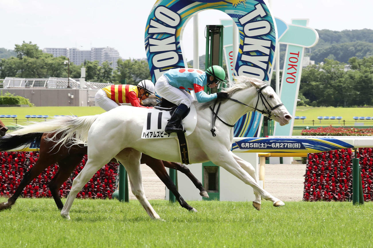 ハイアムズビーチ（2021年6月12日撮影）