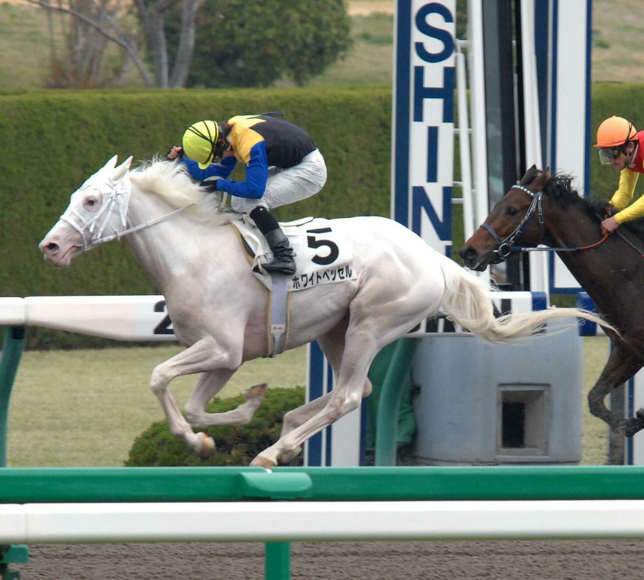 ホワイトベッセル（2007年4月1日撮影）