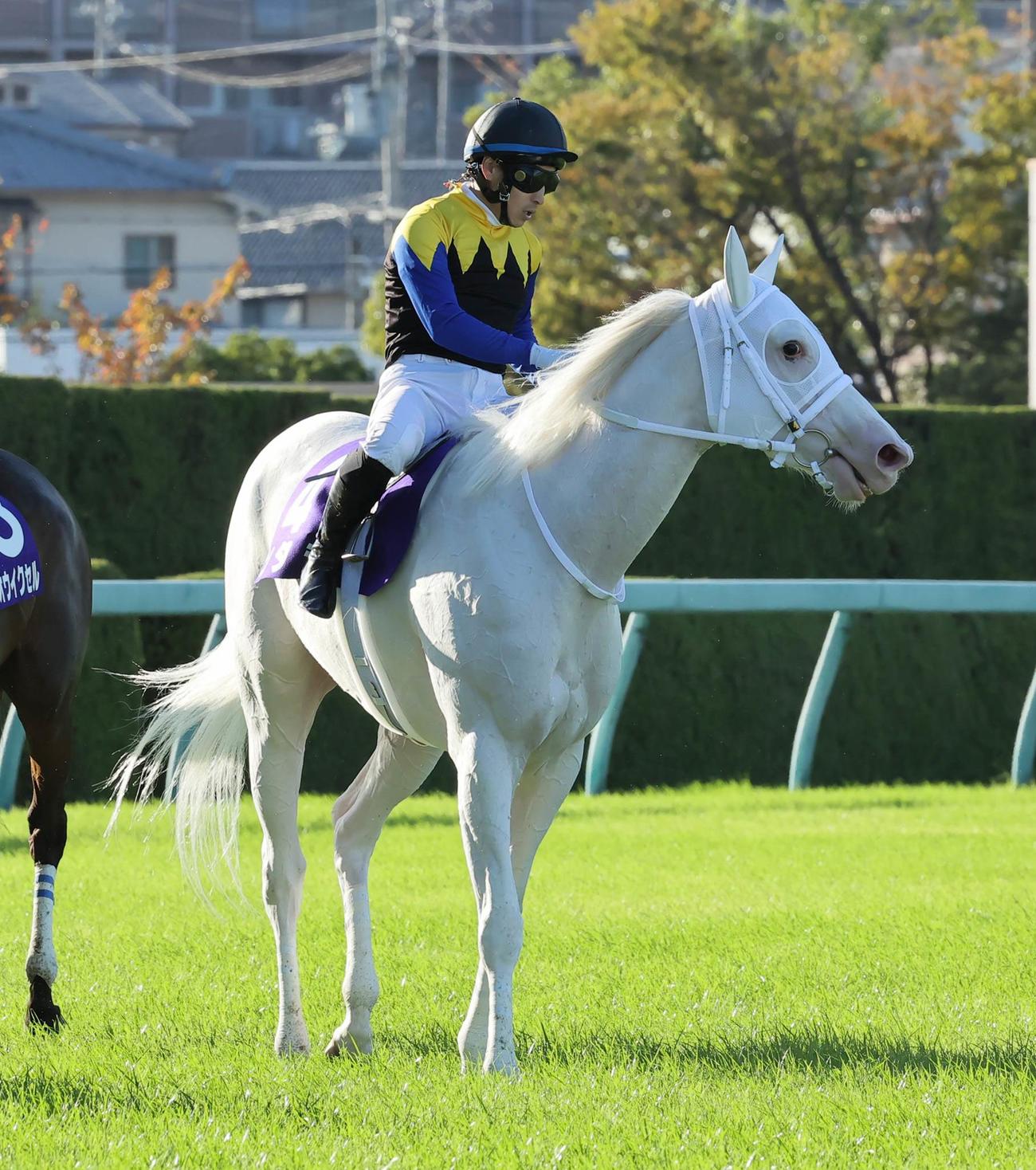 10着となったソダシと吉田隼人騎手