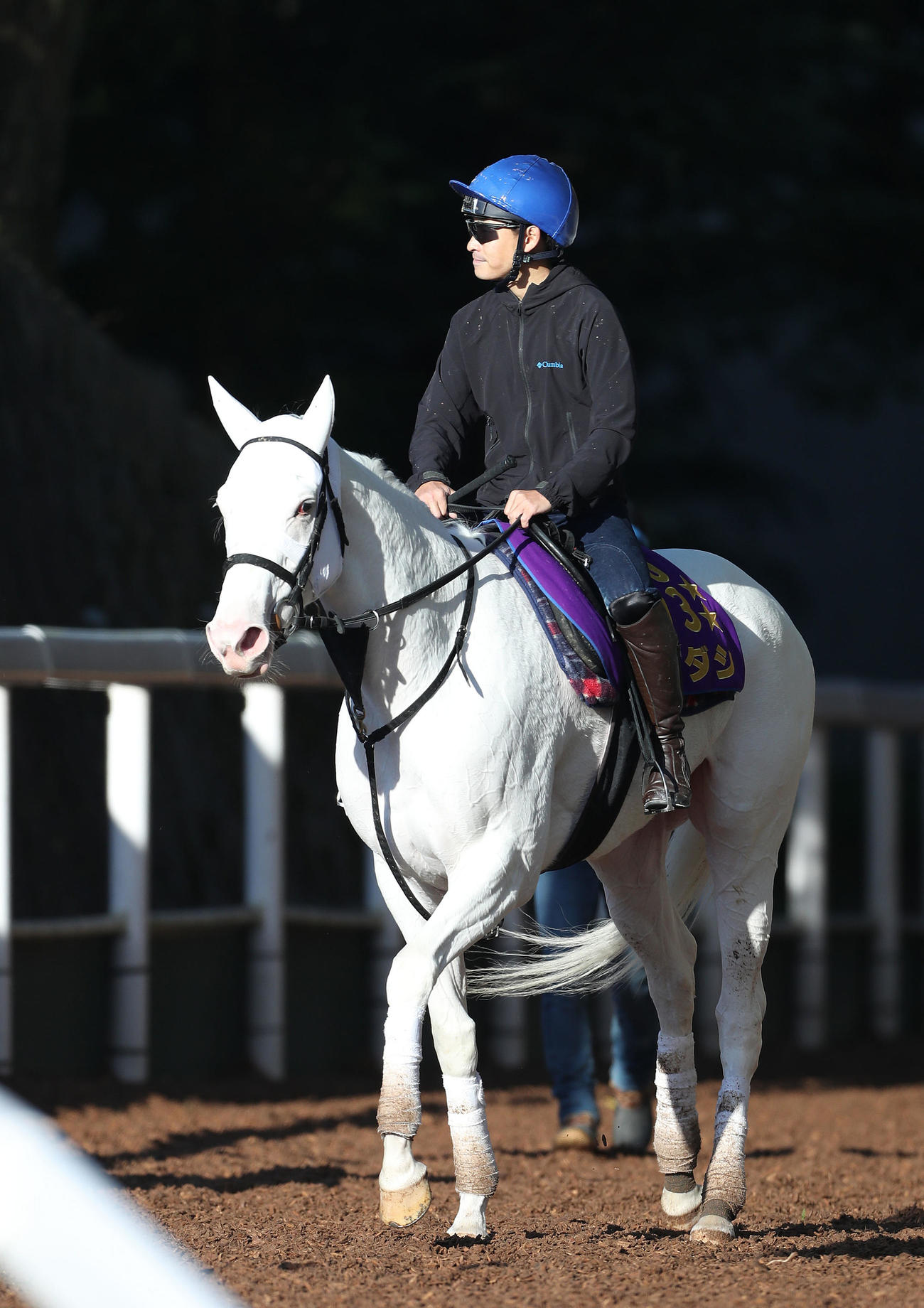 吉田隼騎手を背に逍遥馬道で運動するソダシ（撮影・白石智彦）