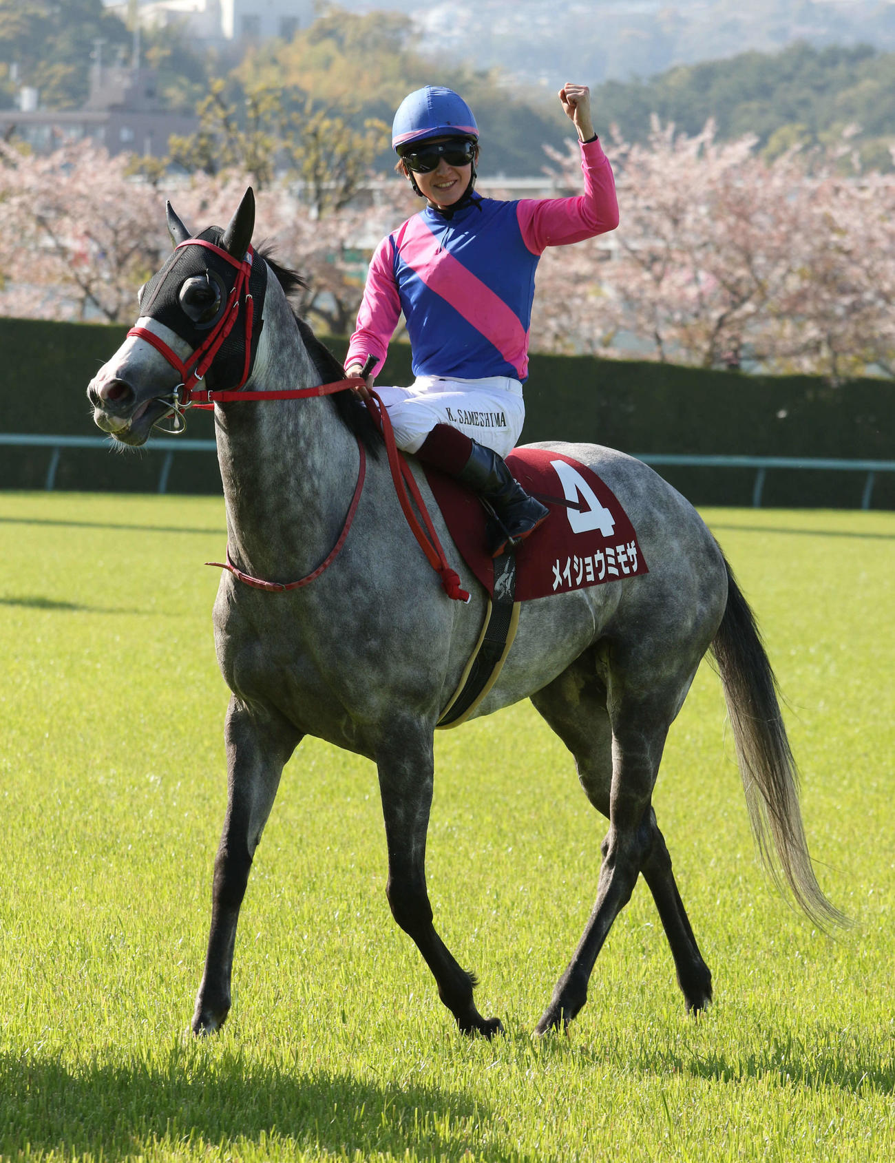 阪神牝馬Sを制しメイショウミモザの馬上でガッツポーズの鮫島克駿騎手（撮影・渦原淳）＝2022年4月9日、阪神競馬場