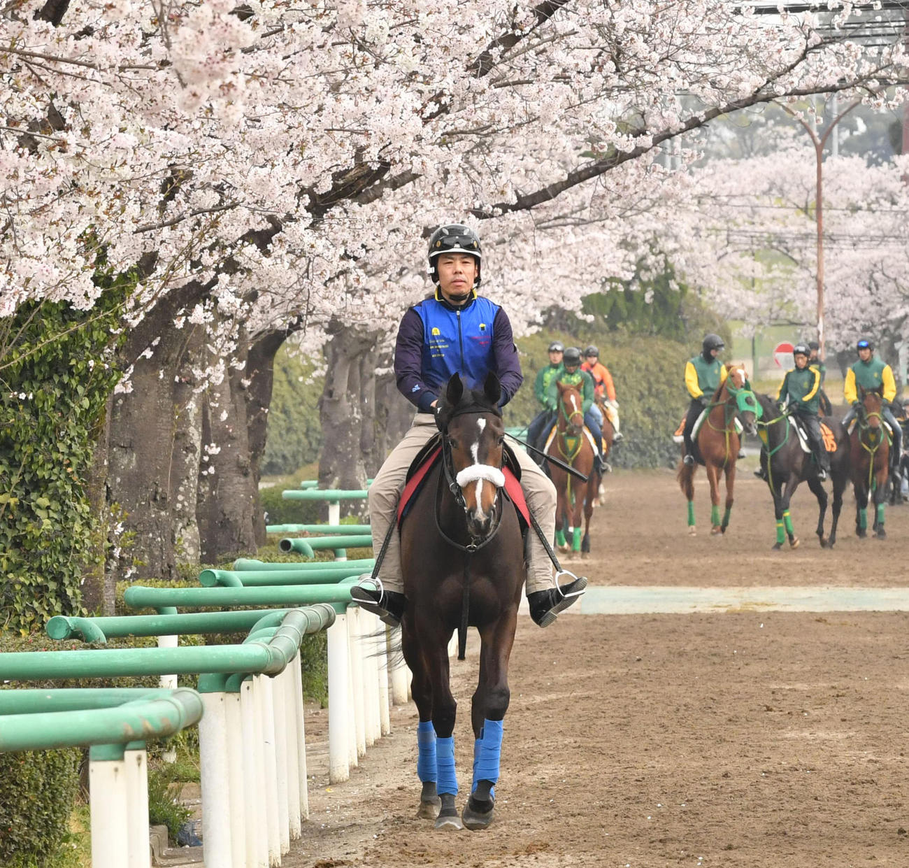 サークルオブライフ（2022年4月6日撮影）