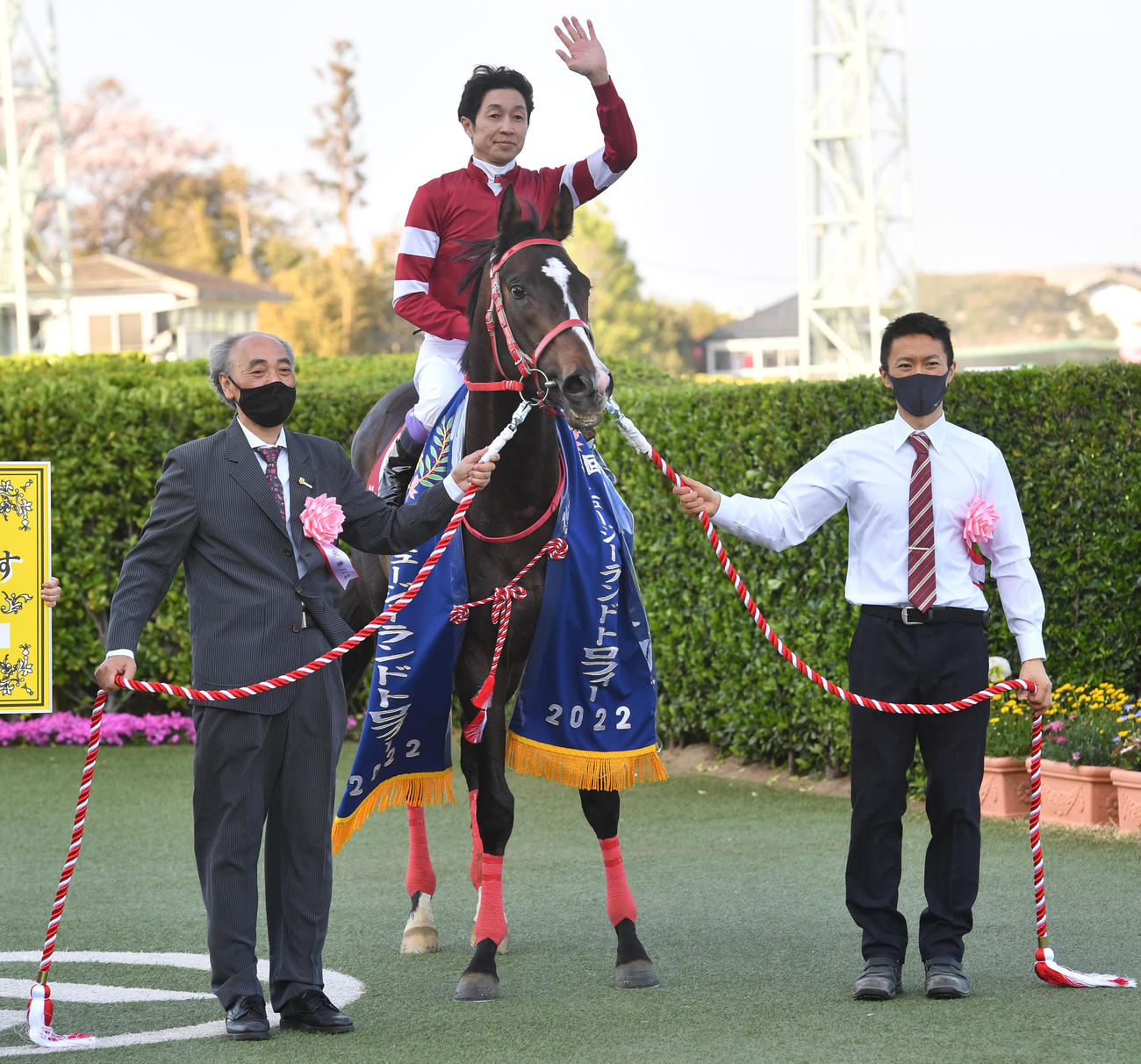 ニュージーランドTを制したジャングロと武豊騎手（撮影・柴田隆二）