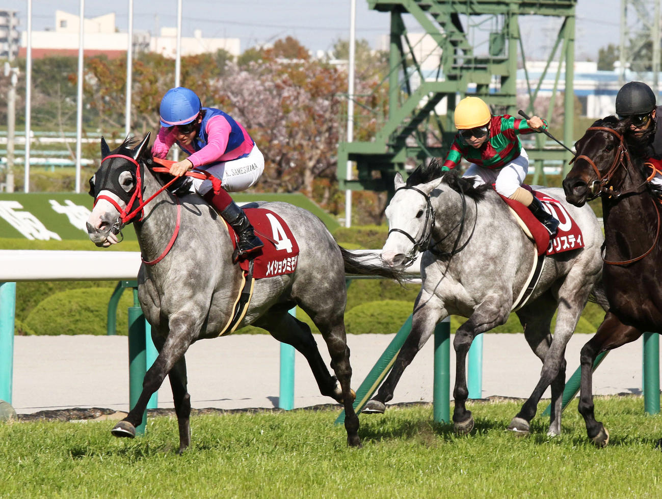 直線抜け出し阪神牝馬Sを快勝したメイショウミモザ（左）（撮影・渦原淳）