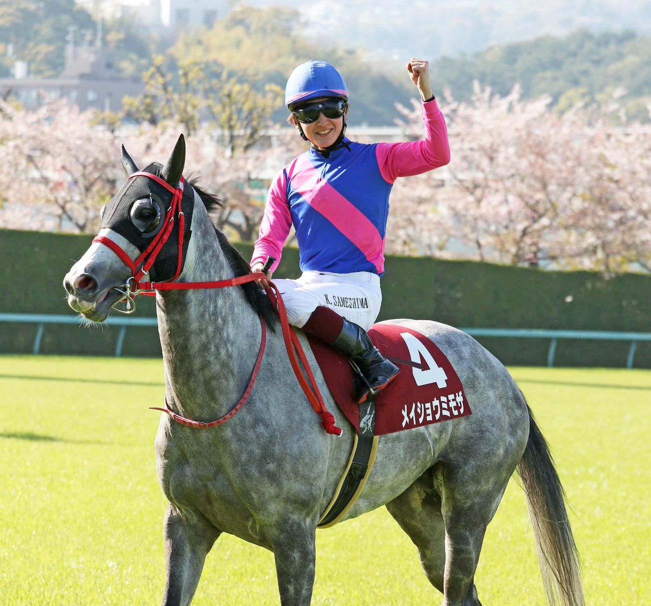 阪神牝馬Sをメイショウミモザで制し、ガッツポーズする鮫島克騎手（撮影・渦原淳）