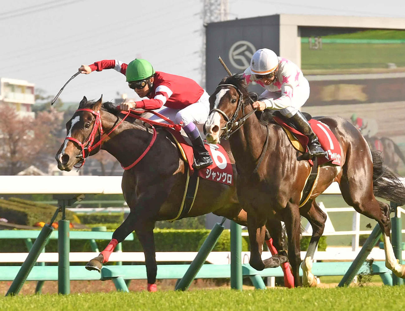 NZTを制したジャングロ（左）。右は2着マテンロウオリオン（撮影・柴田隆二）
