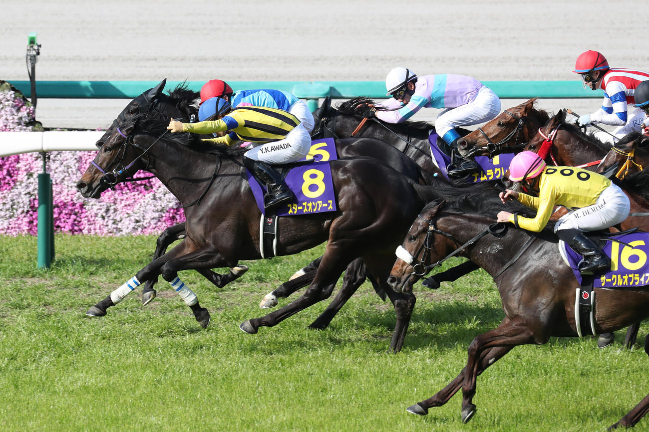 桜花賞　2着のウォーターナビレラにハナ差で勝利したスターズオンアース