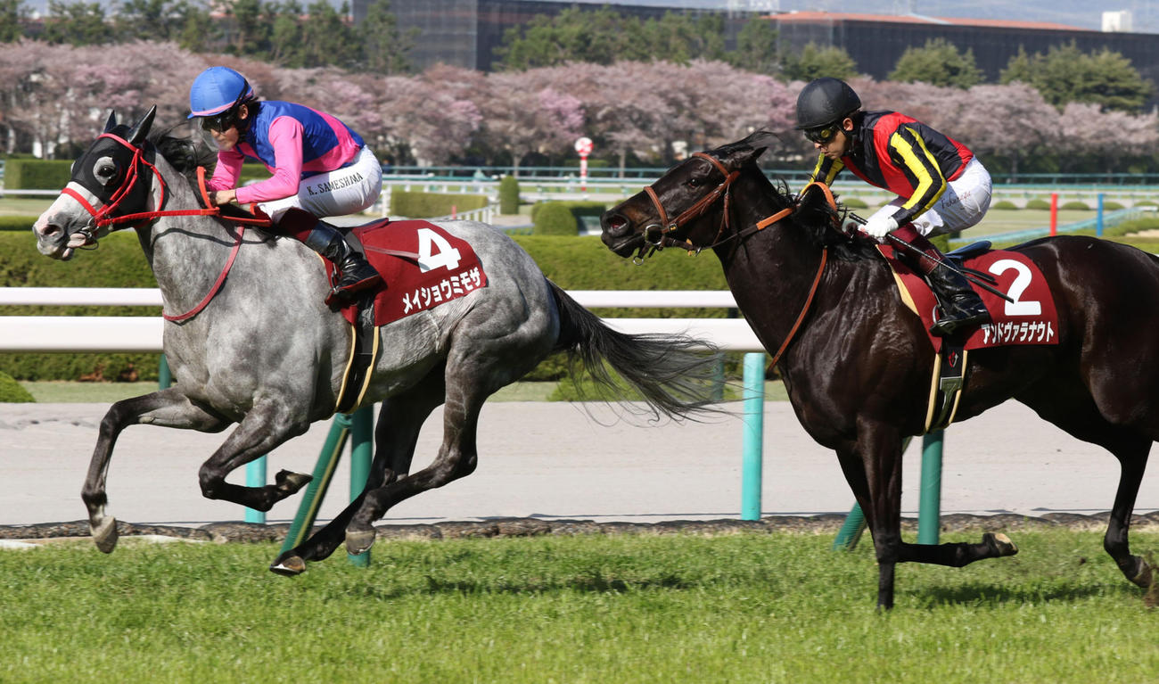 2着に惜敗したアンドヴァラナウト（右）