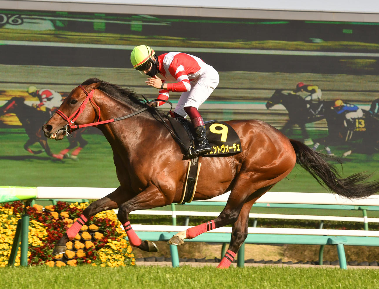 春雷Sを制したヴェントヴォーチェと西村淳騎手（撮影・柴田隆二）