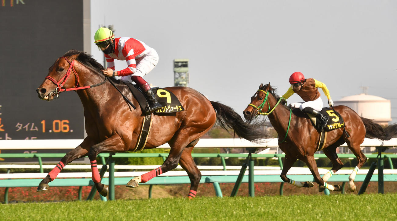 春雷Sを制したヴェントヴォーチェ（左）、3着シャンデリアムーン（撮影・柴田隆二）