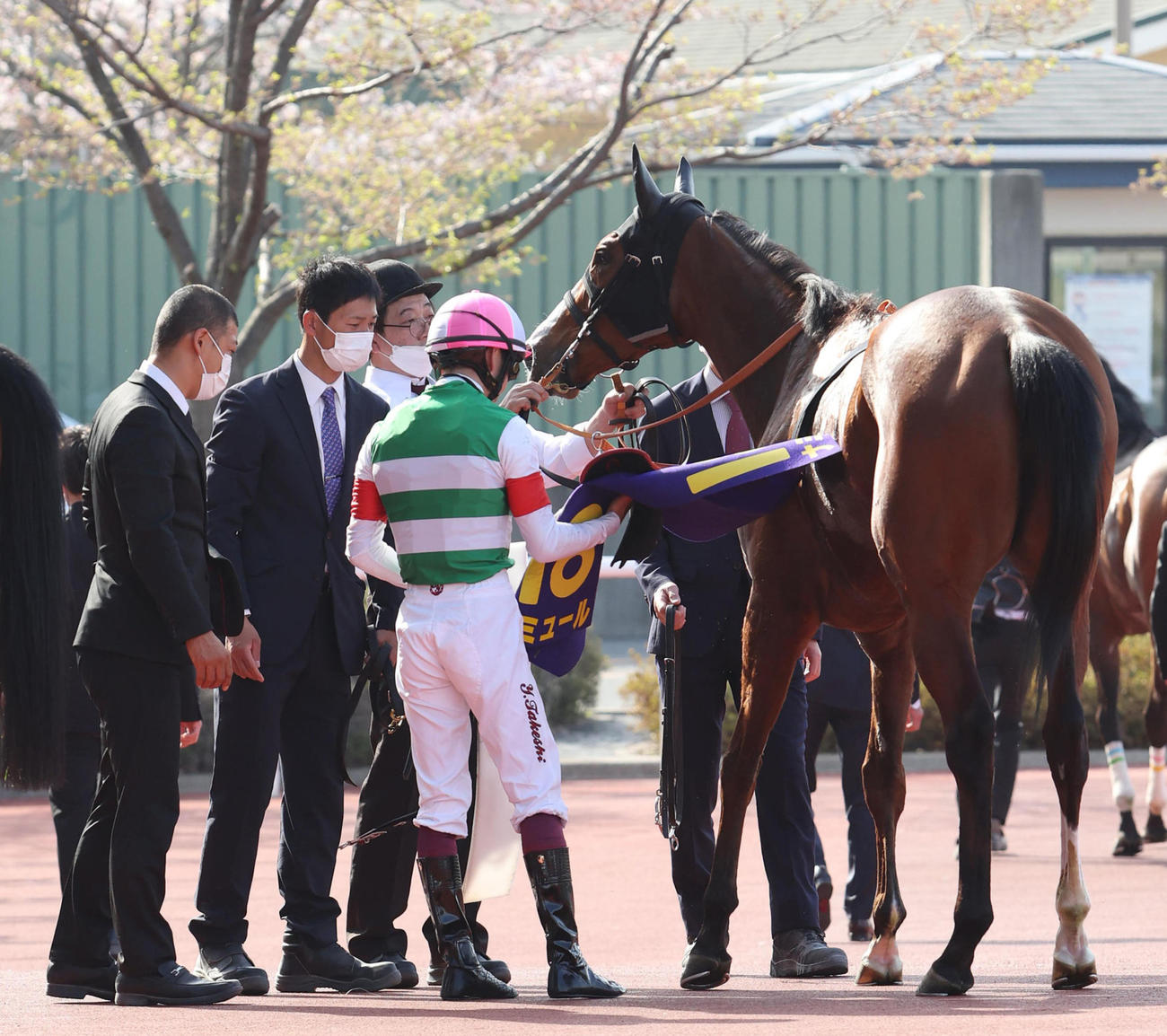桜花賞、10着に敗れた1番人気のナミュール（撮影・白石智彦）