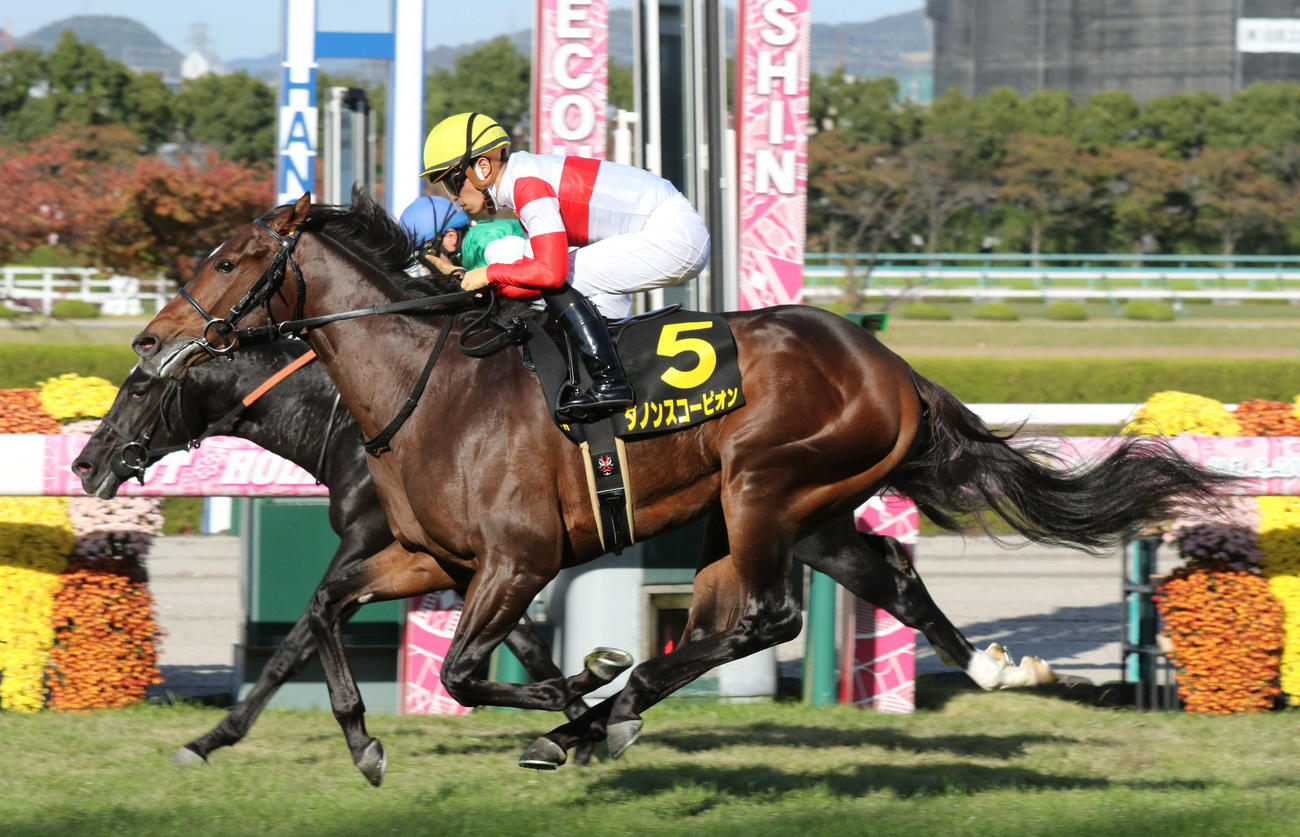 萩Sを制したダノンスコーピオン（2021年10月撮影）