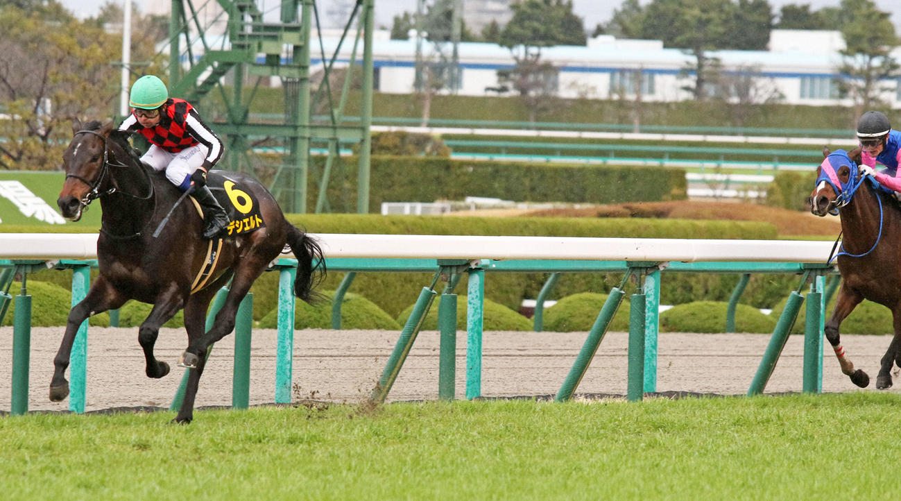 若葉Sを逃げ切り快勝したデシエルト（2022年3月19日撮影）