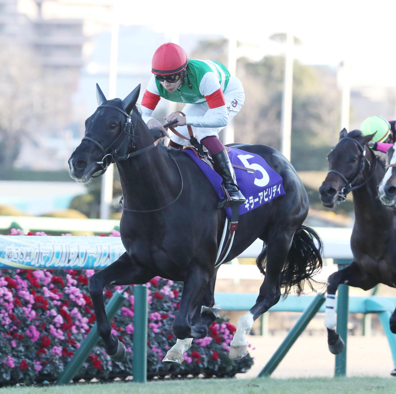 ホープフルSを制したキラーアビリティと横山武史騎手（2021年12月28日撮影）