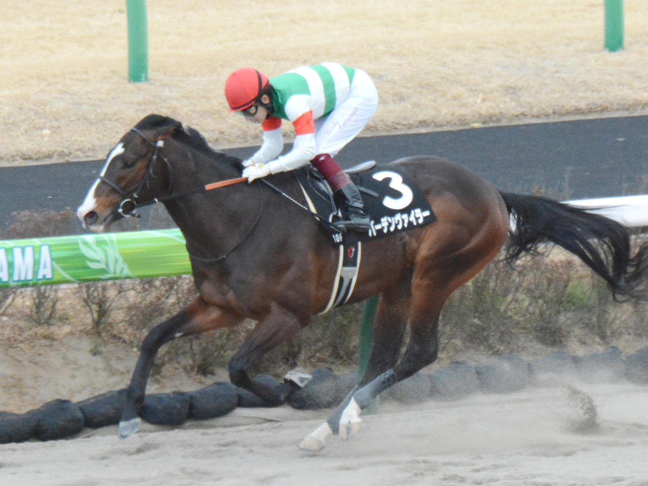 総武Sを快勝したバーデンヴァイラー（2022年3月6日撮影）