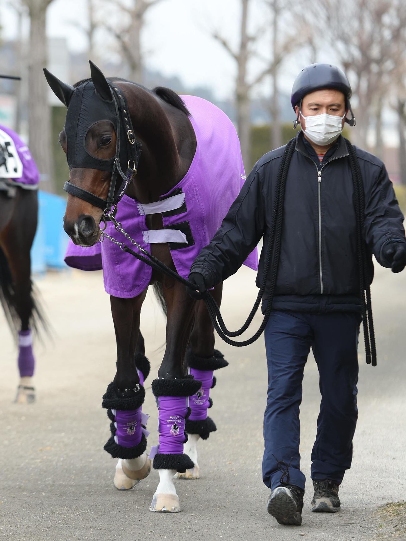2月10日、厩舎周りで運動するジュンブロッサム