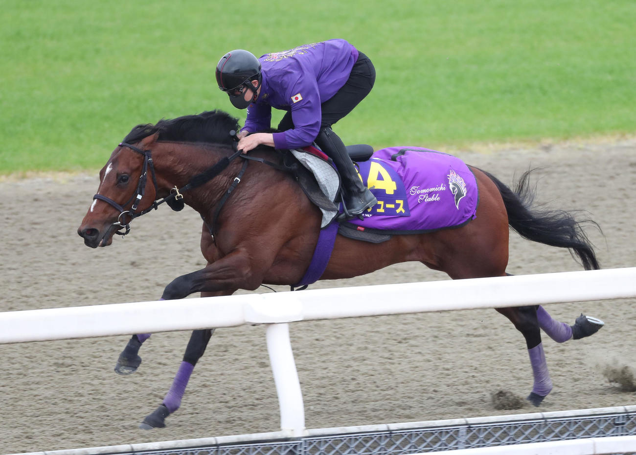 ポリトラックを単走で追い切るドウデュース（撮影・白石智彦）