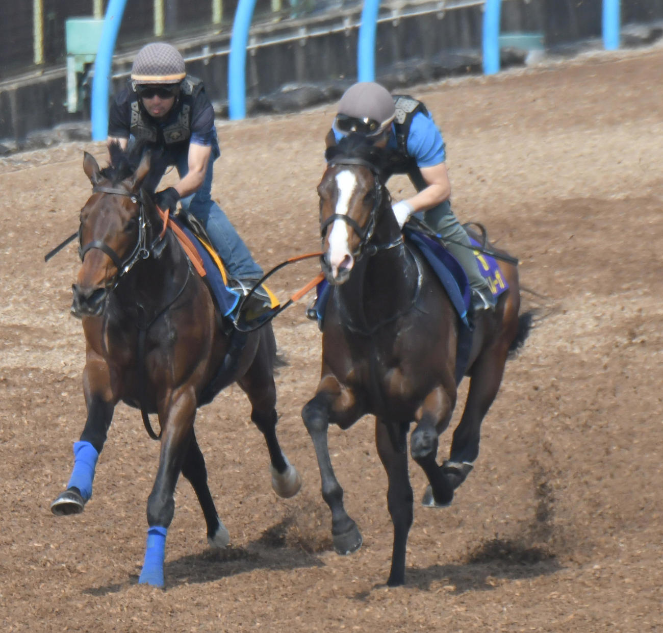 ダノンベルーガ（右）は、フィリオアレグロと併せて追い切られた（撮影・酒井清司）