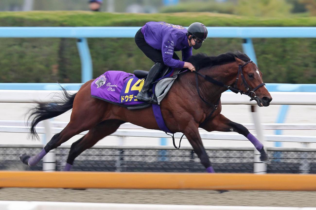 ポリトラックで躍動したドウデュース