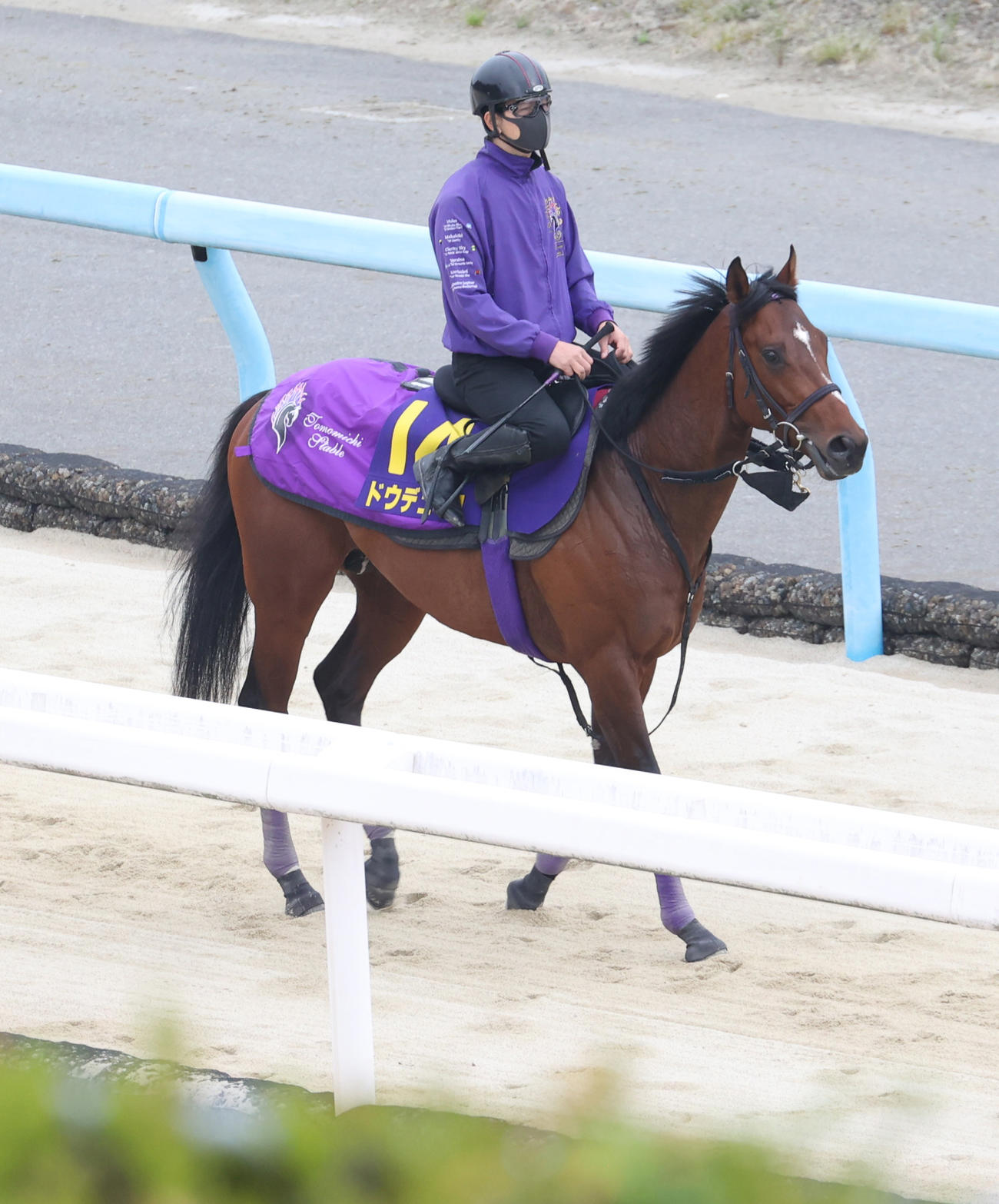 追い切りへ向かうドウデュース