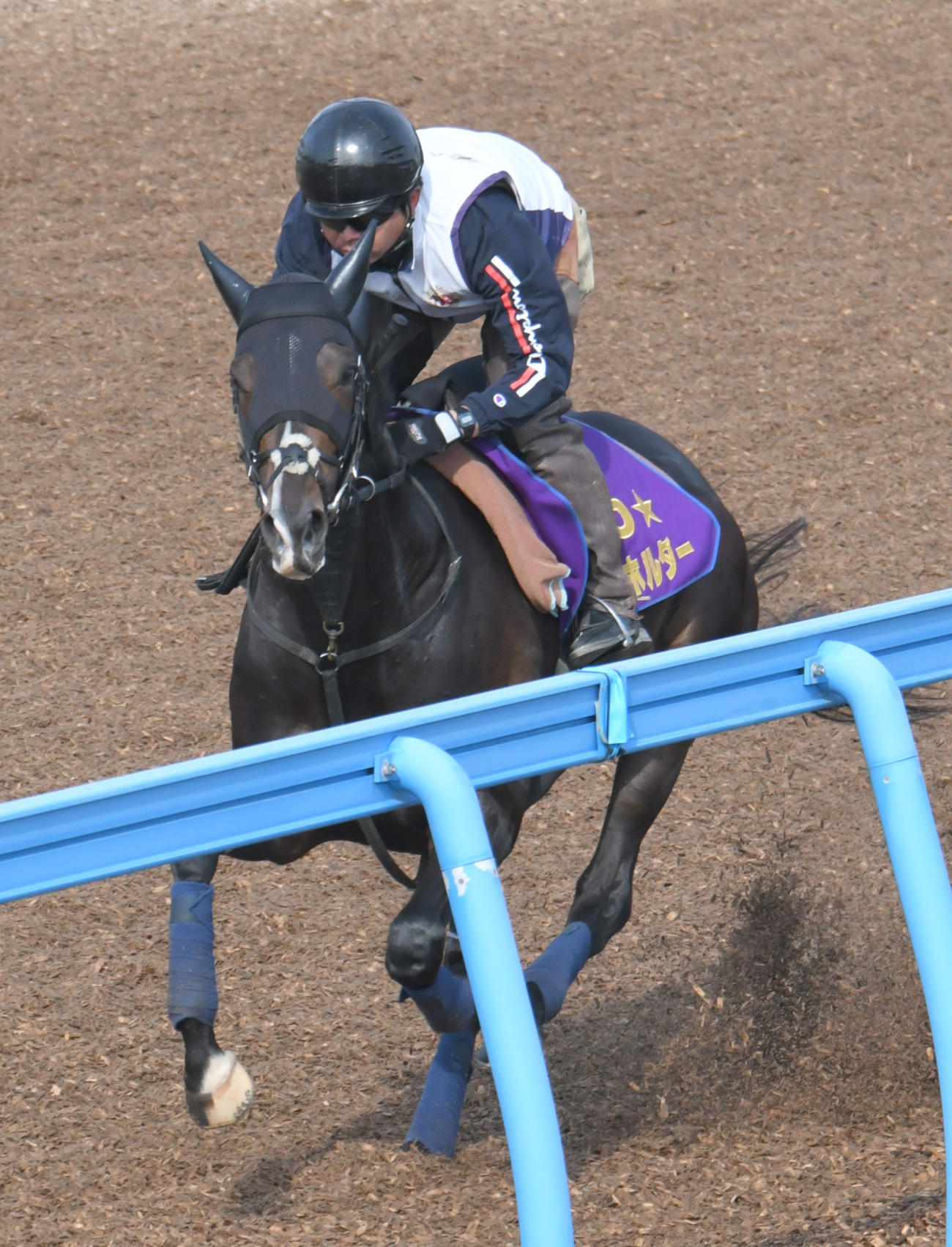 ウッドチップコースで追い切られたタイトルホルダー