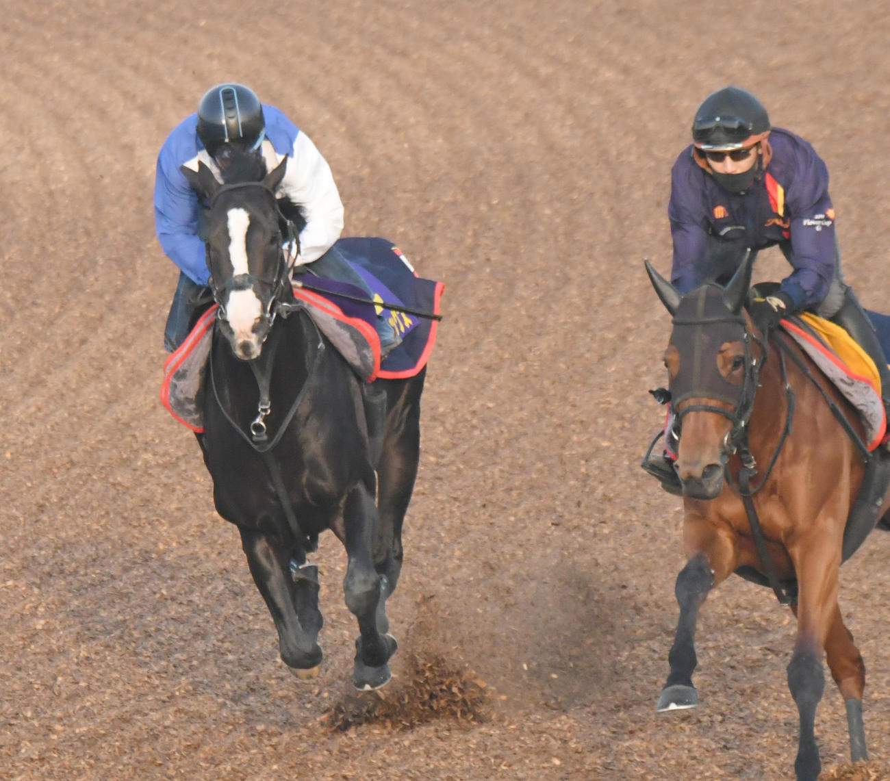 イクイノックス（左）は馬なりでスムーズな加速をみせた（撮影・酒井清司）