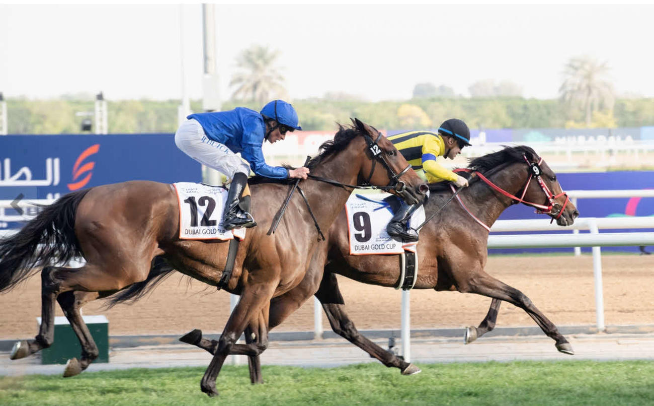 ドバイゴールドCを制したステイフーリッシュ（右）（C）Dubai Racing Club