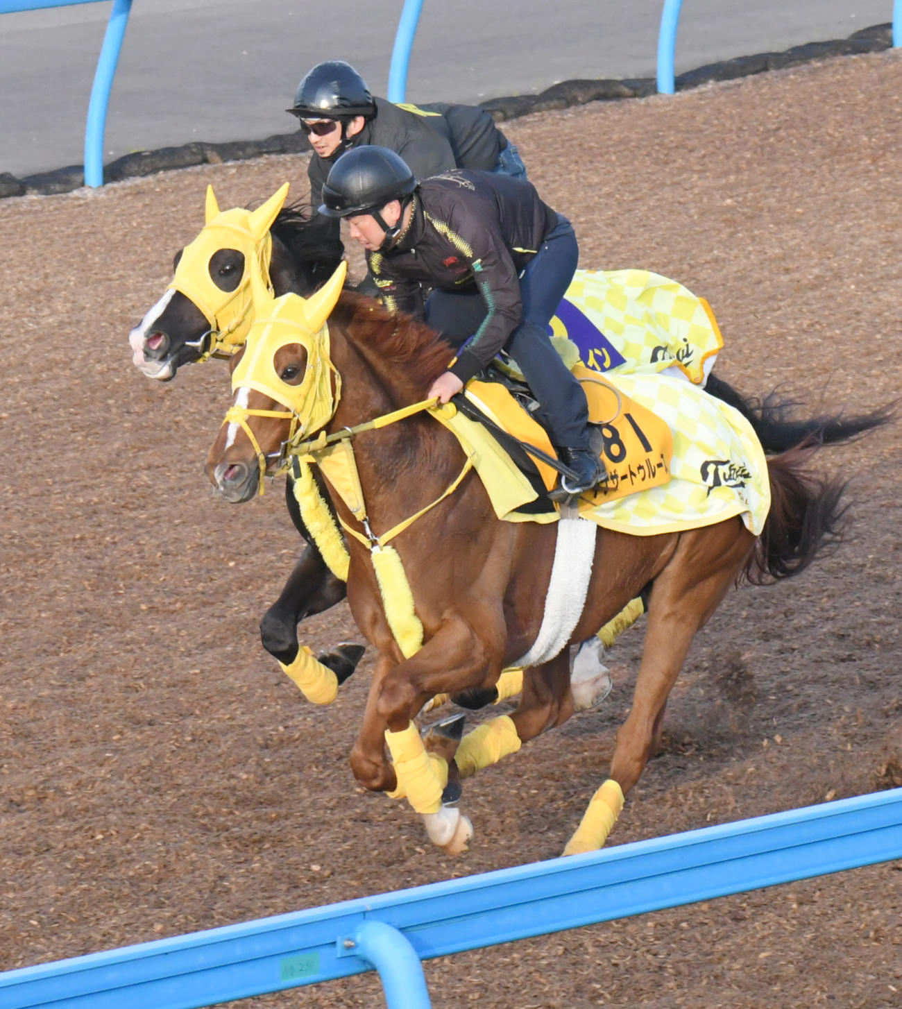 13日、美浦トレセンで追うアナザートゥルース（手前）