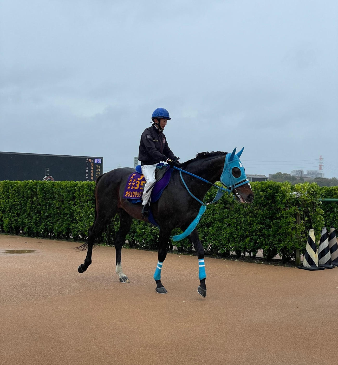 中山競馬場で石神騎手とスクーリングを終えたオジュウチョウサン
