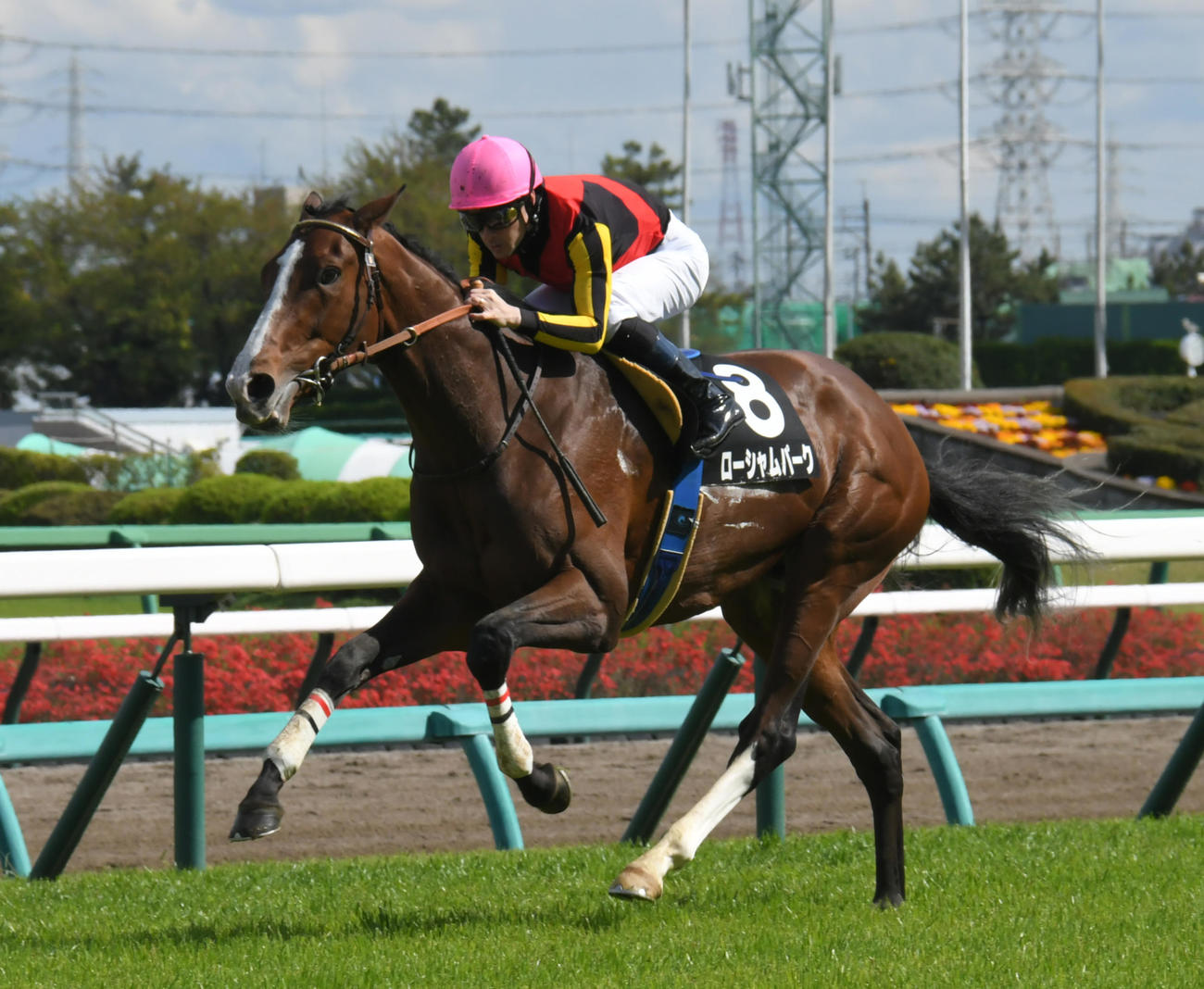 山藤賞を圧勝したローシャムパークとクリストフ・ルメール騎手