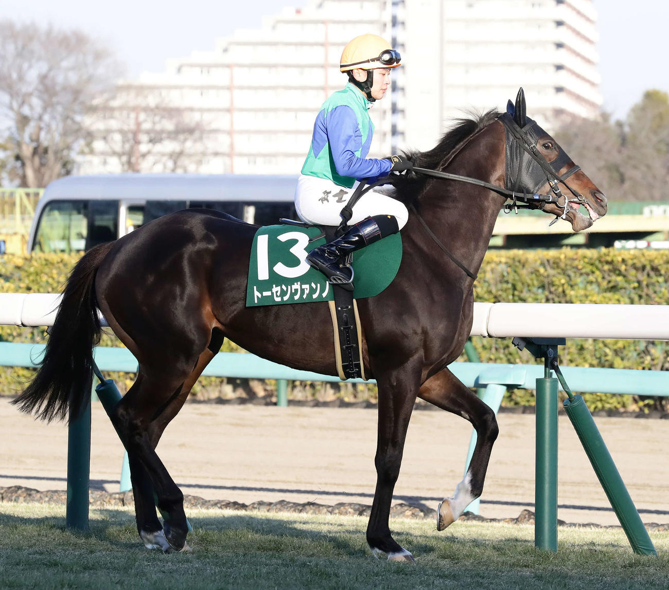 京成杯に出走したトーセンヴァンノ（2022年1月16日撮影）