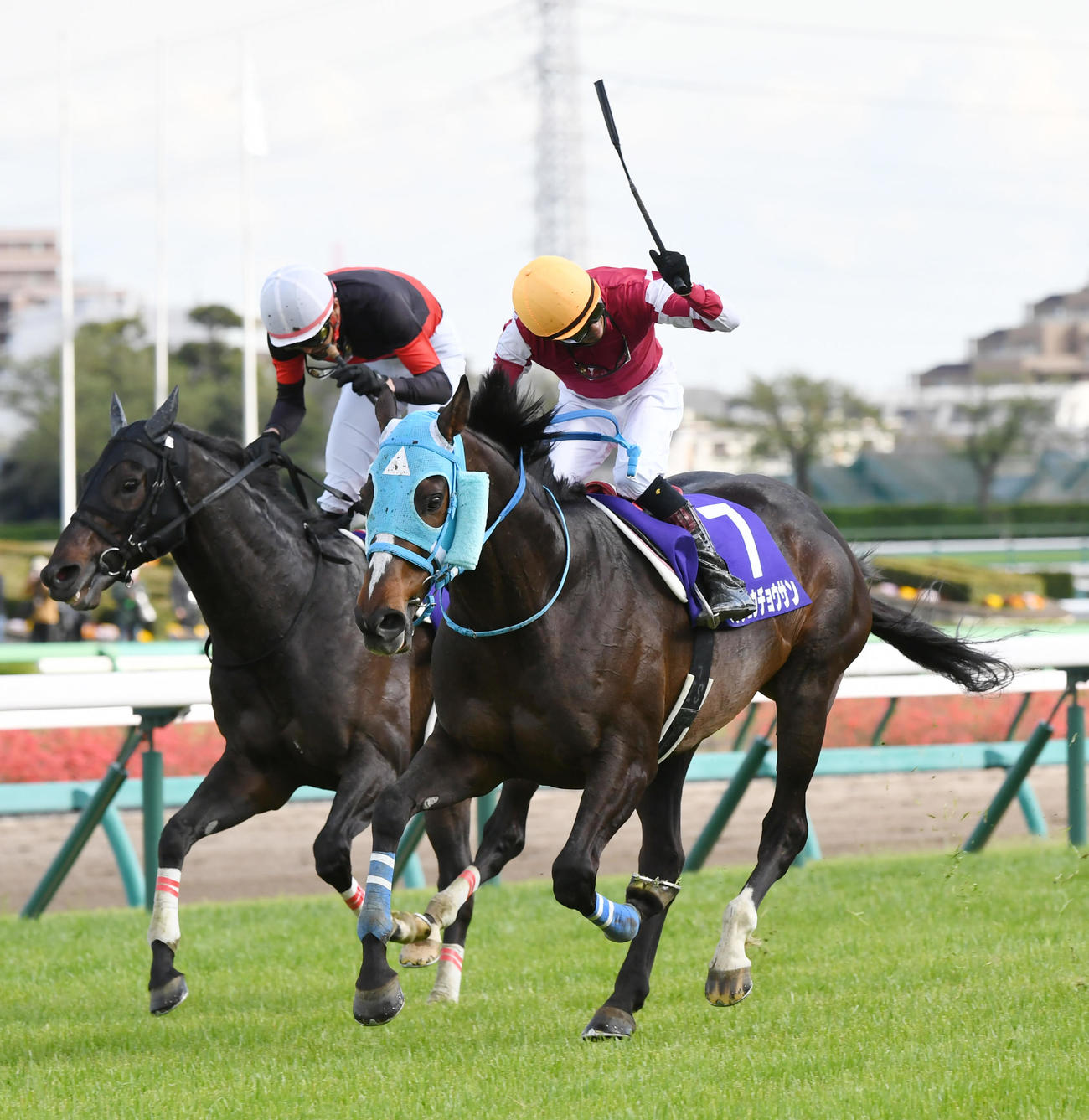 中山GJ2着に敗れたブラゾンダムールと西谷騎手（左）。右は勝ったオジュウチョウサン