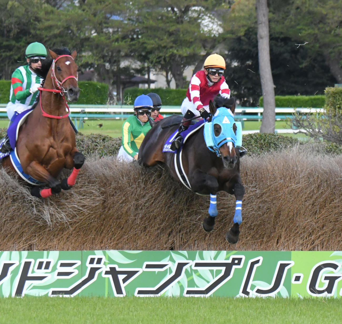 大竹柵を飛越するオジュウチョウサン（右）が中山グランドJを制した