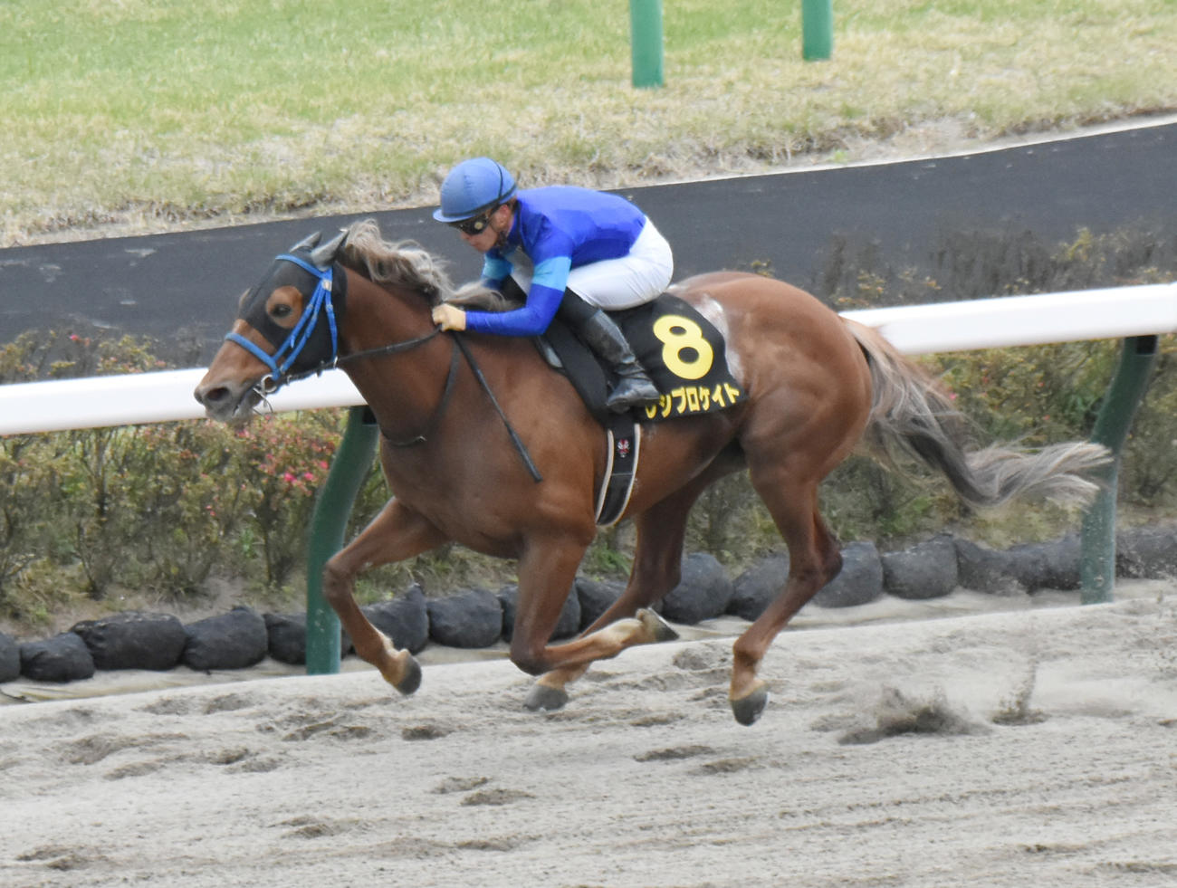 京葉Sを快勝したレシプロケイトと川田騎手