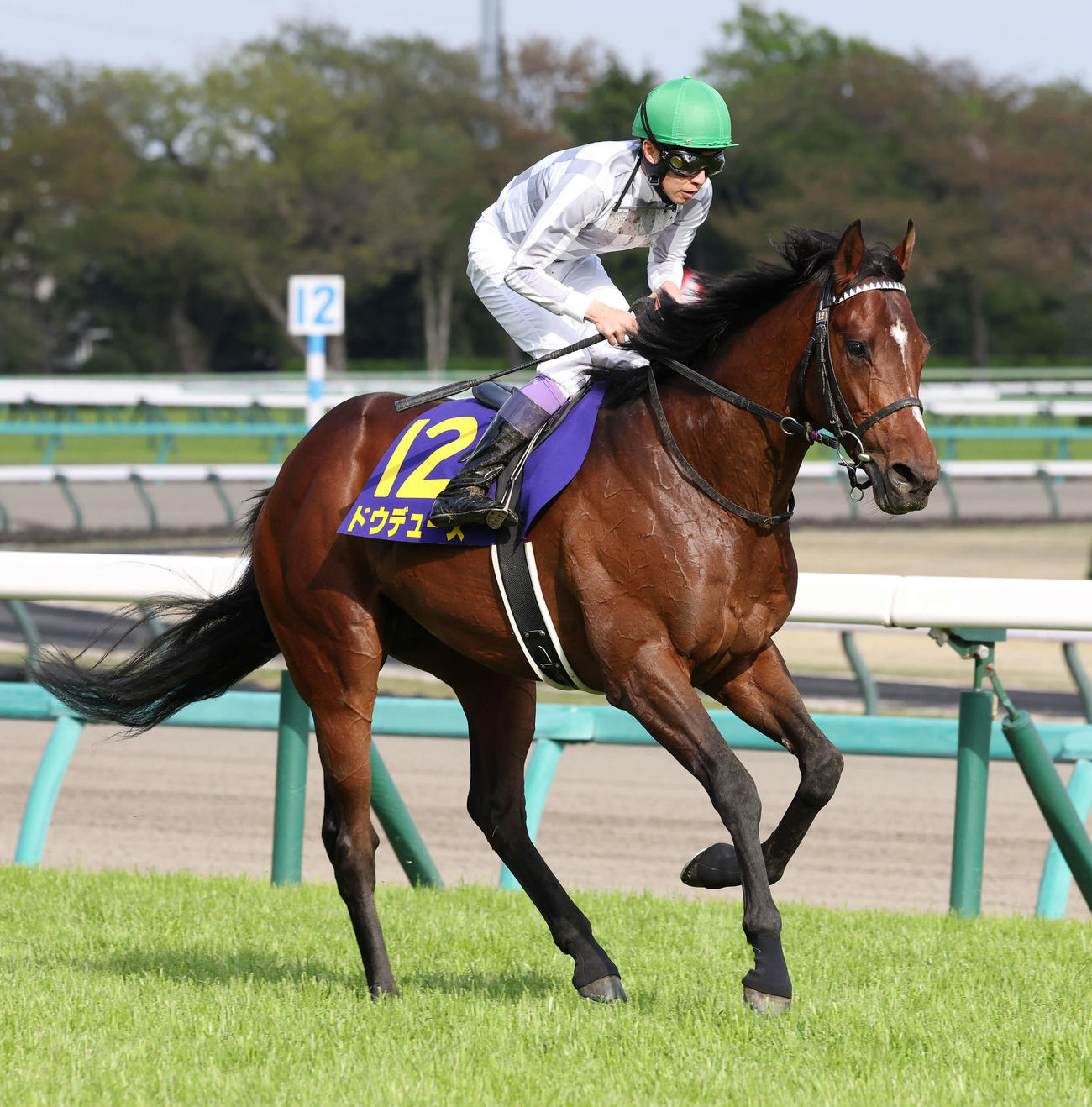 皐月賞で1番人気も3着に敗れたドウデュースと武豊騎手（撮影・丹羽敏通）
