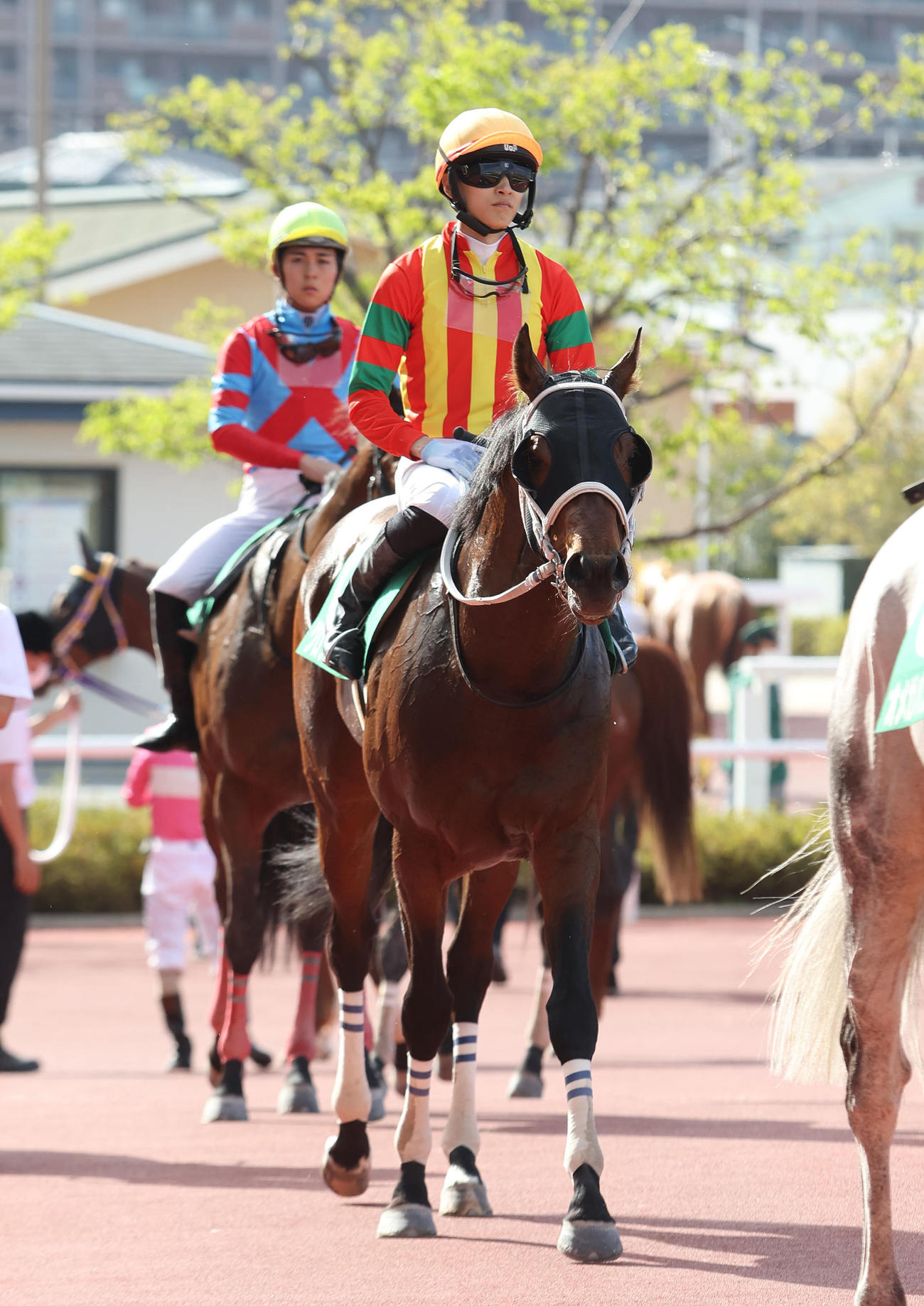 アンタレスS2着に敗れ引き揚げる1番人気のグロリアムンディ（撮影・白石智彦）