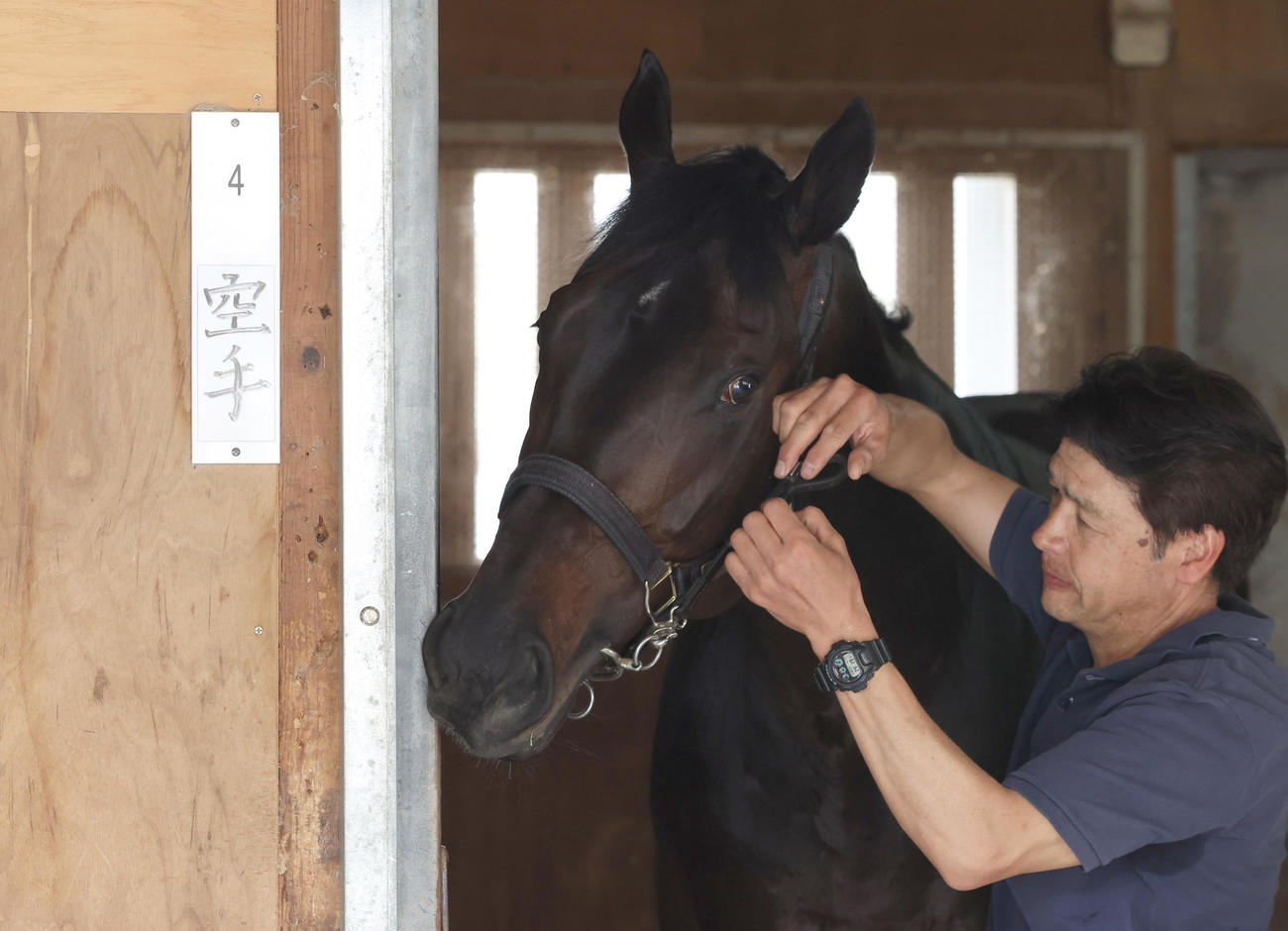 13日、馬房で準備するカラテ。馬房の名前欄には「空手」の文字