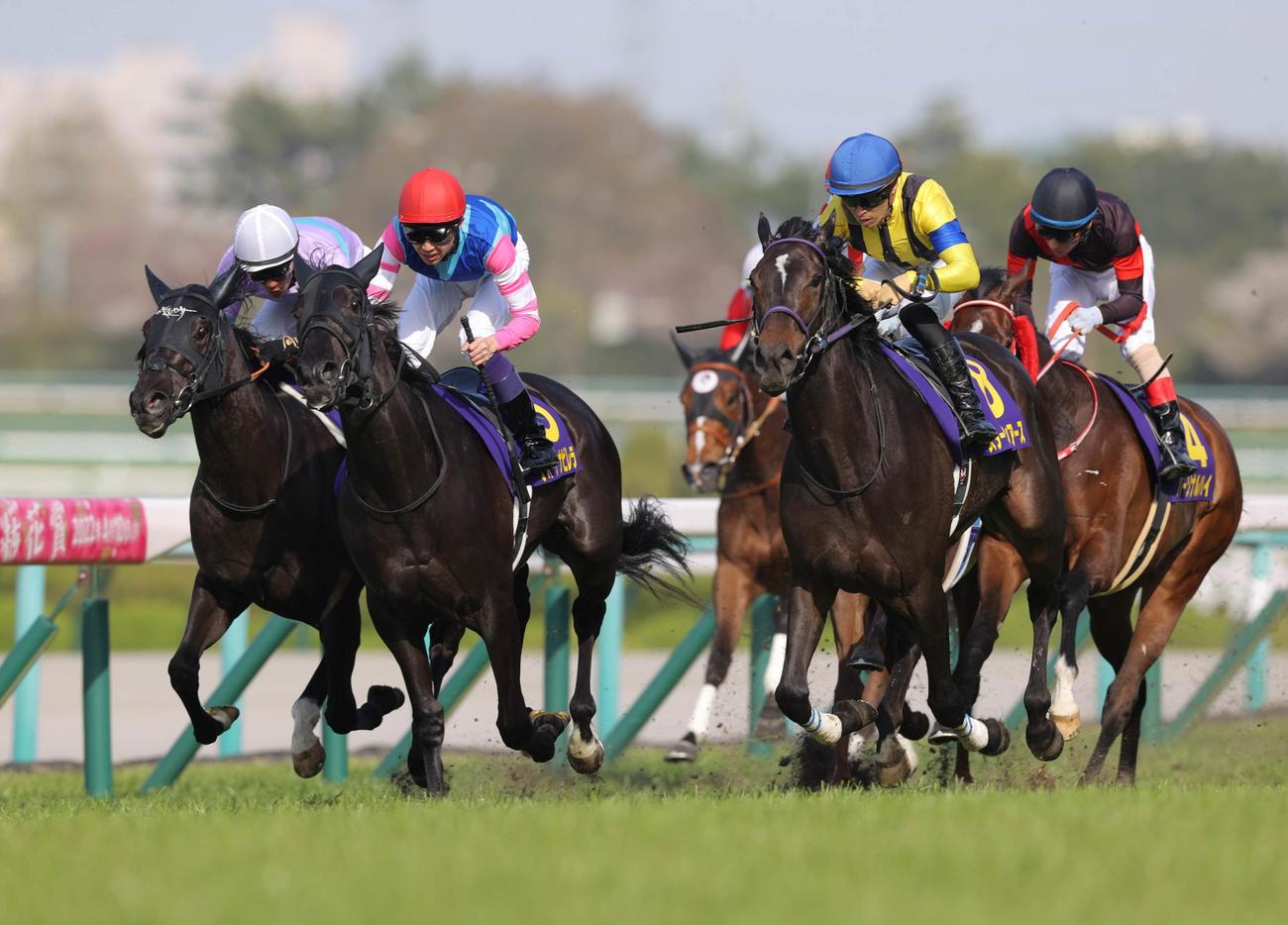 桜花賞6着に終わったパーソナルハイ（右）。右から2頭目は勝ったスターズオンアース